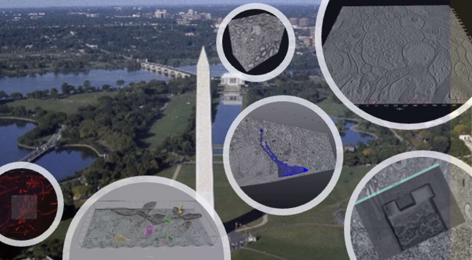 Workshop on Scalable Volume Electron Microscopy for Neuroscience An aerial view of Washington DC with various microscopy images superimposed