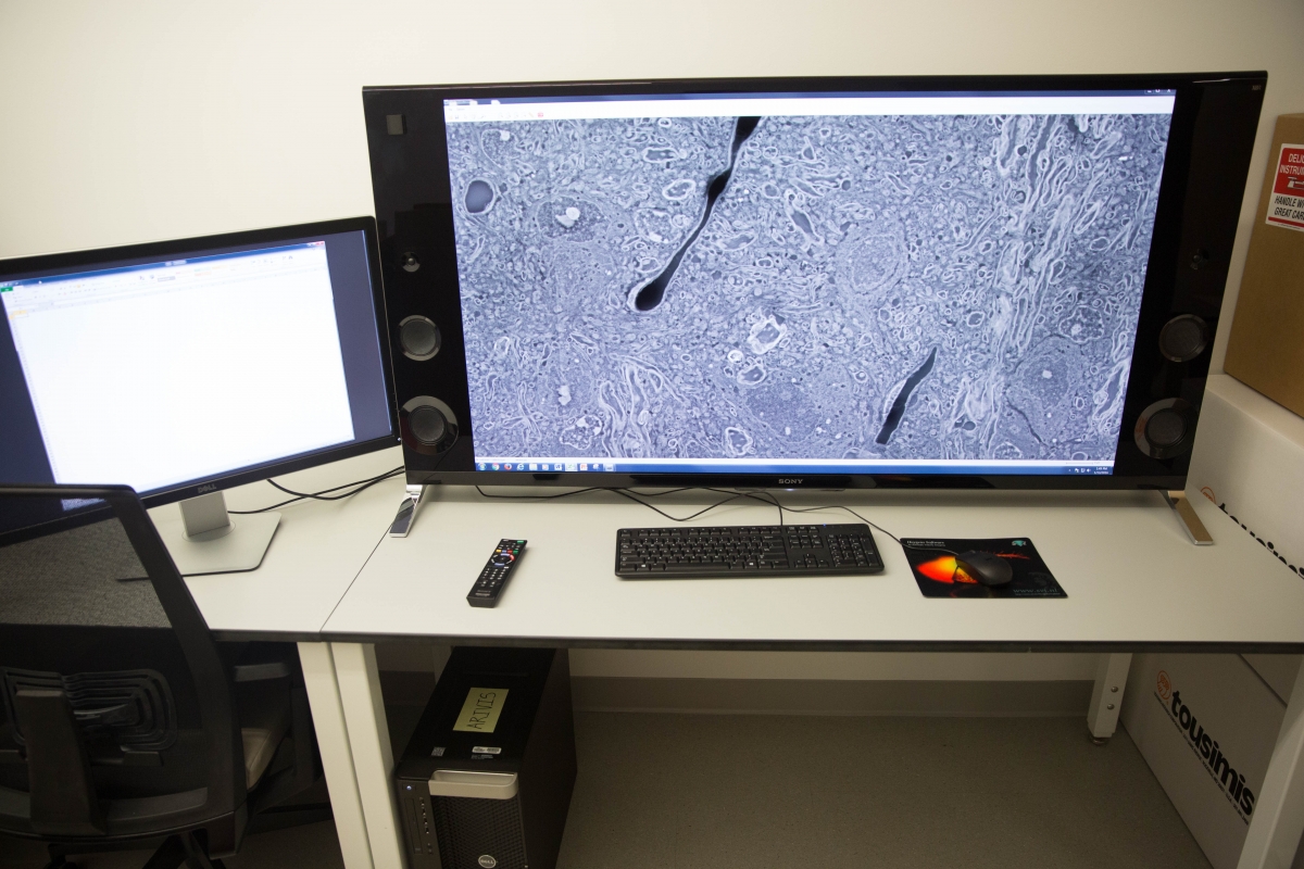 ARIVIS Workstation