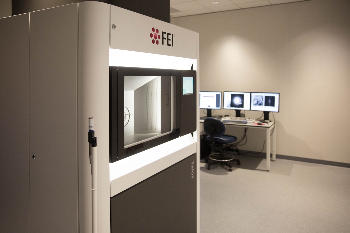 FEI Talos F200X