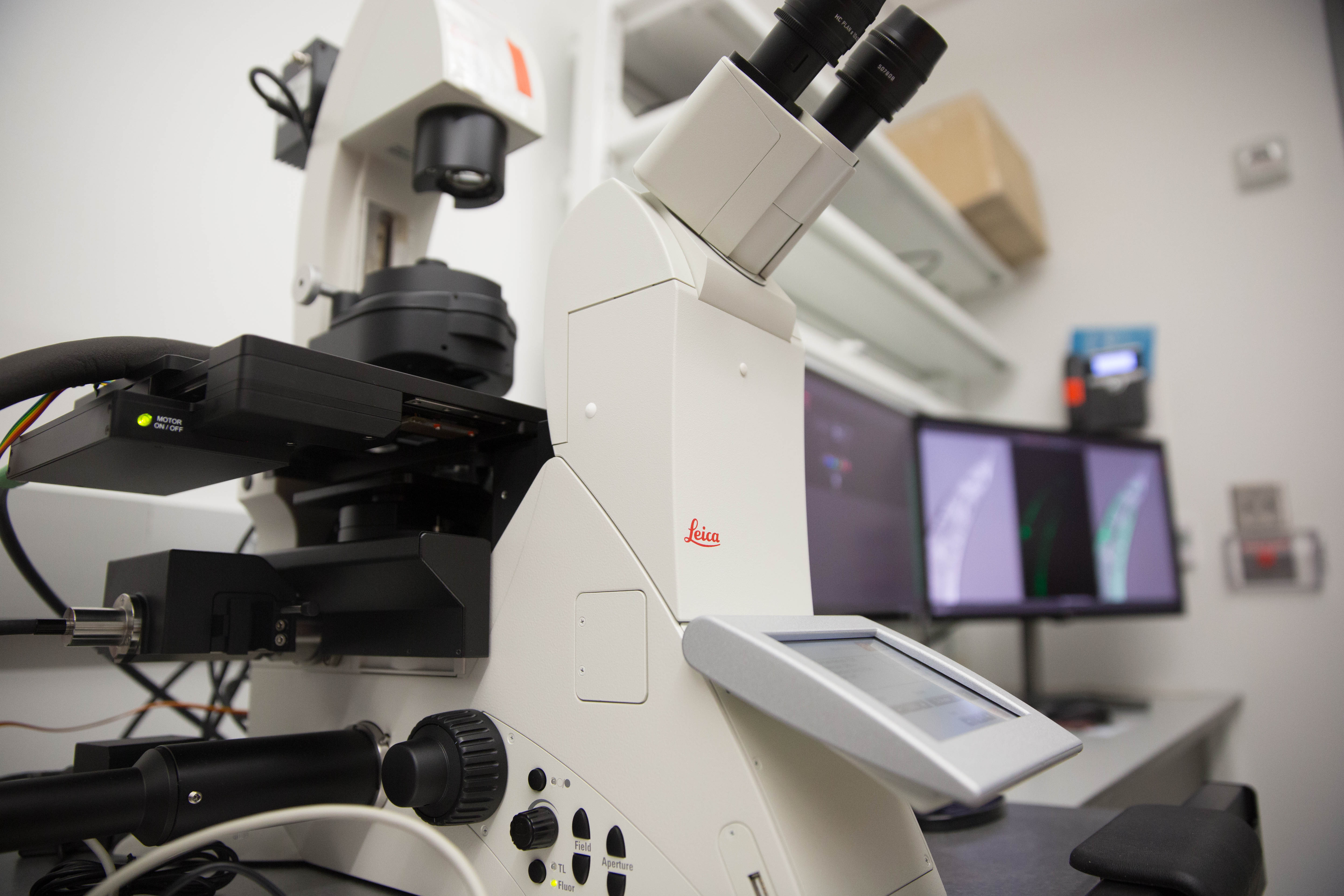 Leica microscope in the GWNIC imaging suite
