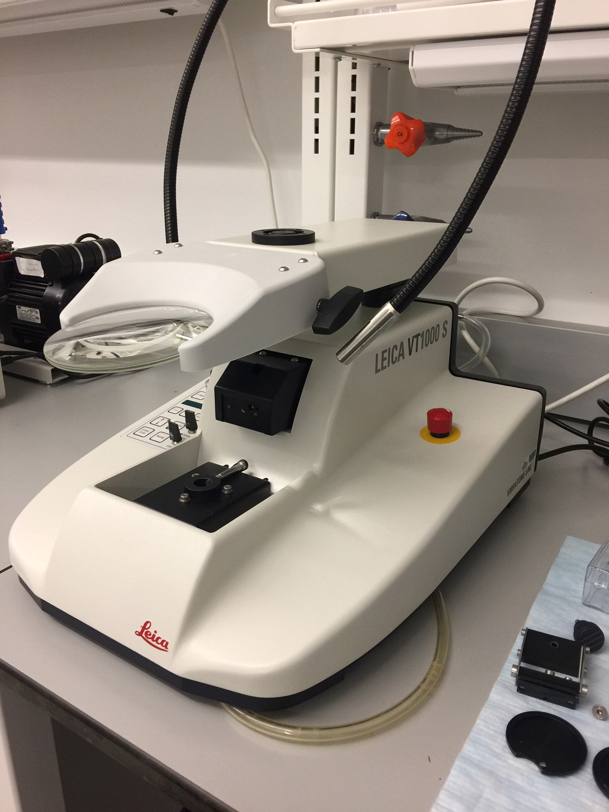 Microscopy Sample Preparation GW Nanofabrication & Imaging Center