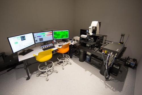 Desk with three computers next to Leica TCS SP8 Multiphoton Confocal Microscope