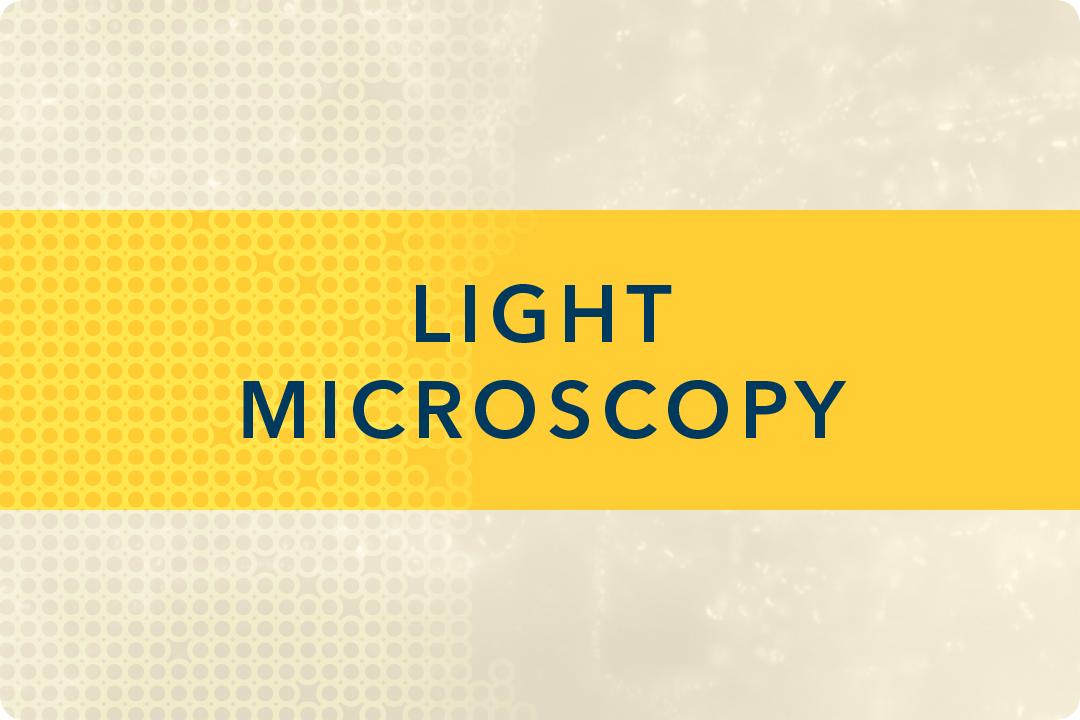 Light Microscopy